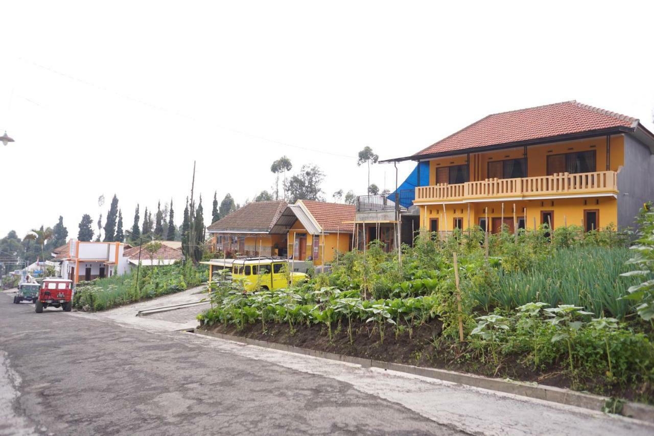 Homestay Lereng Bromo Eksteriør bilde
