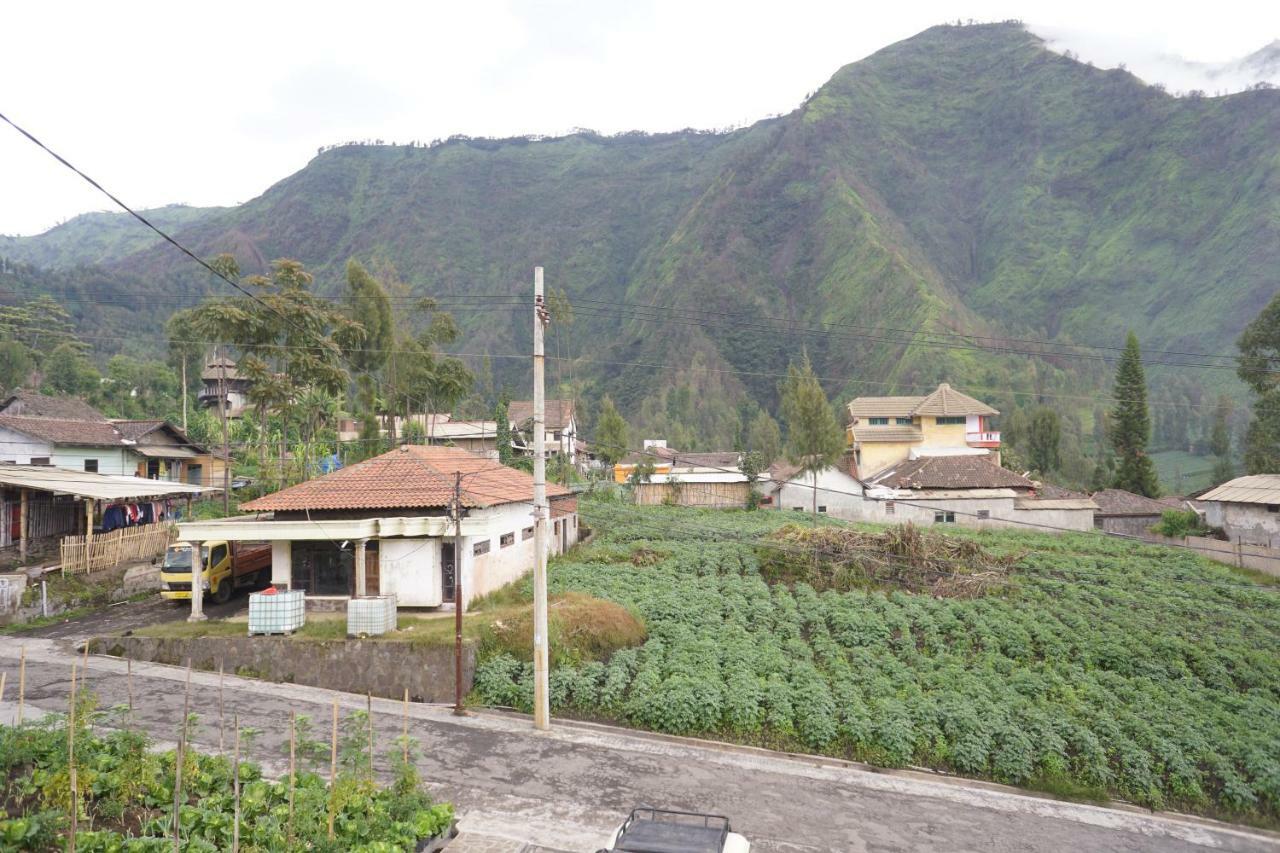 Homestay Lereng Bromo Eksteriør bilde