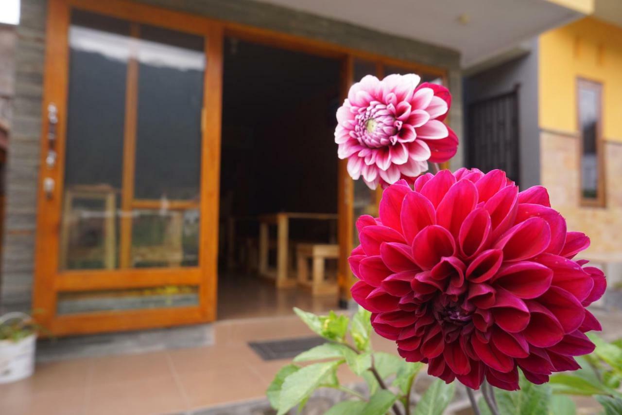 Homestay Lereng Bromo Eksteriør bilde
