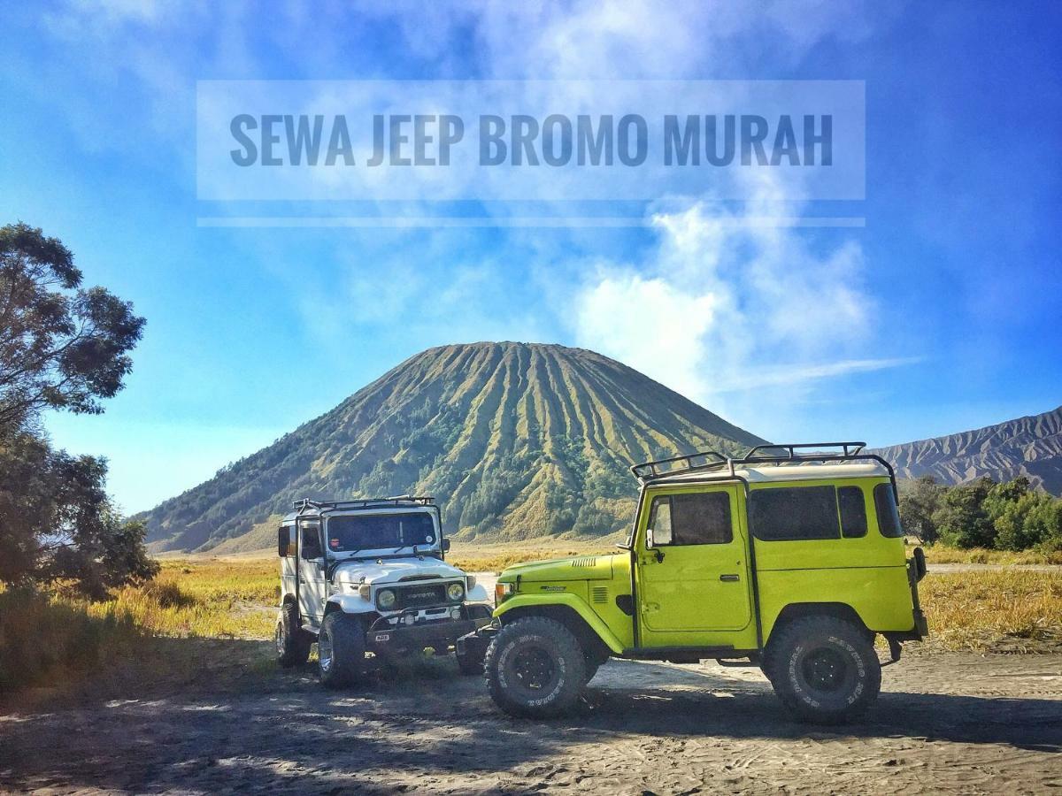 Homestay Lereng Bromo Eksteriør bilde