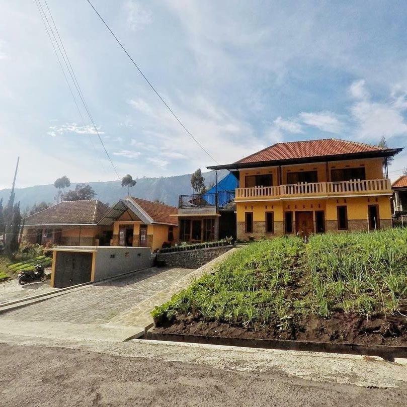 Homestay Lereng Bromo Eksteriør bilde